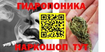 прущие грибы Заводоуковск