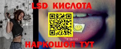 прущие грибы Заводоуковск