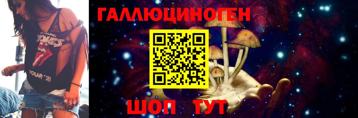 Псилоцибиновые грибы Cubensis Муром