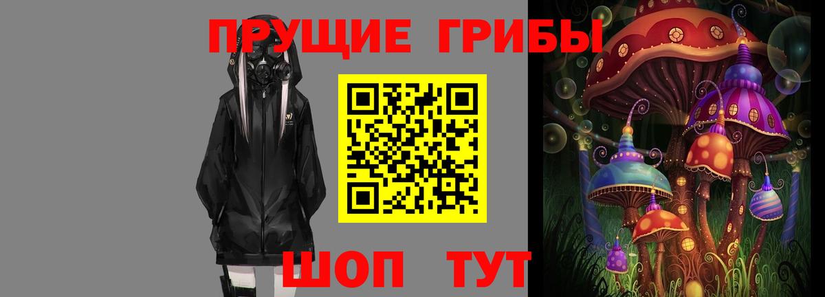 Муром  Псилоцибиновые грибы Psilocybine cubensis  Вход с VPN 